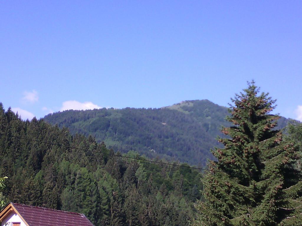 Appartements Zankl Kotschach-Mauthen 外观 照片