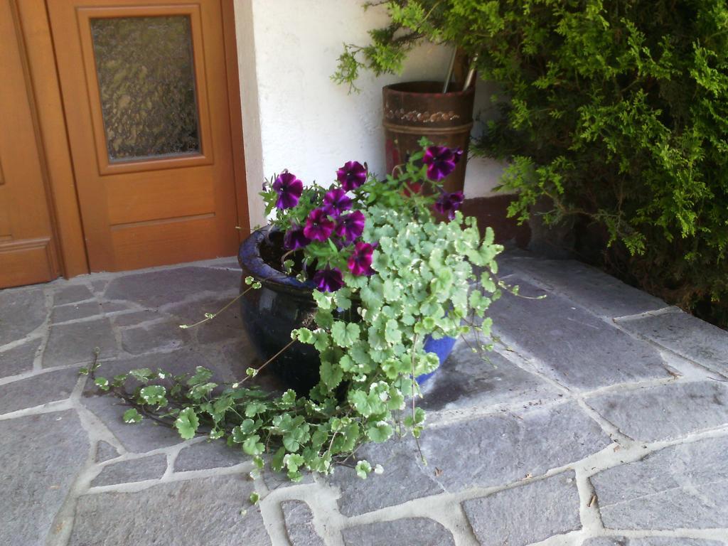 Appartements Zankl Kotschach-Mauthen 外观 照片
